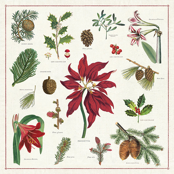 Vintage Botanica Poinsettia Christmas Napkins (Set of 4)