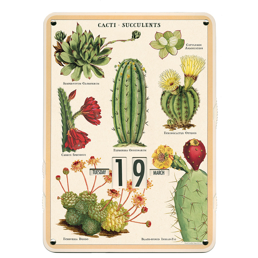 Cacti & Succulents Perpetual Wall Calendar