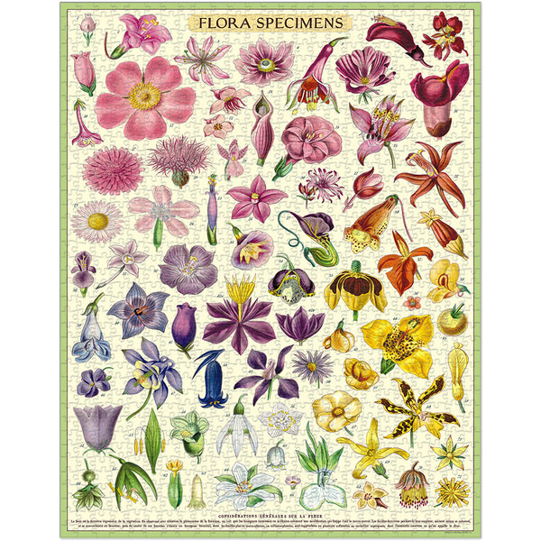 Vintage Flora Specimen Puzzle Set (Set of 1000)