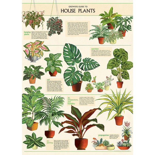 House Plants Flat Wrap