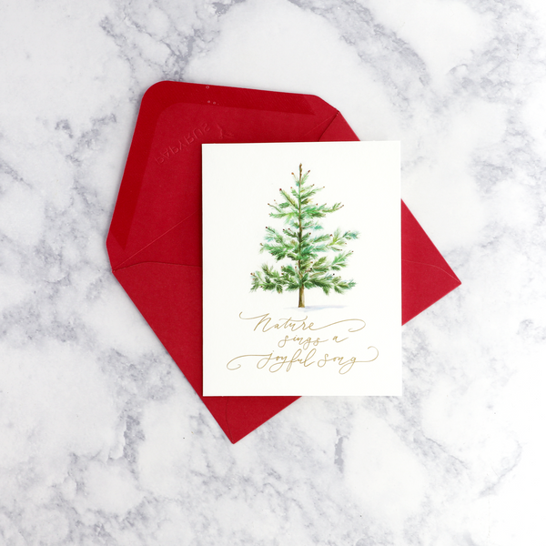 Boho Illustrated Tree Christmas Boxed Cards (Set of 20)