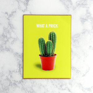 Cactus Friendship Card