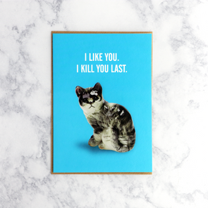 Cat Friendship Card