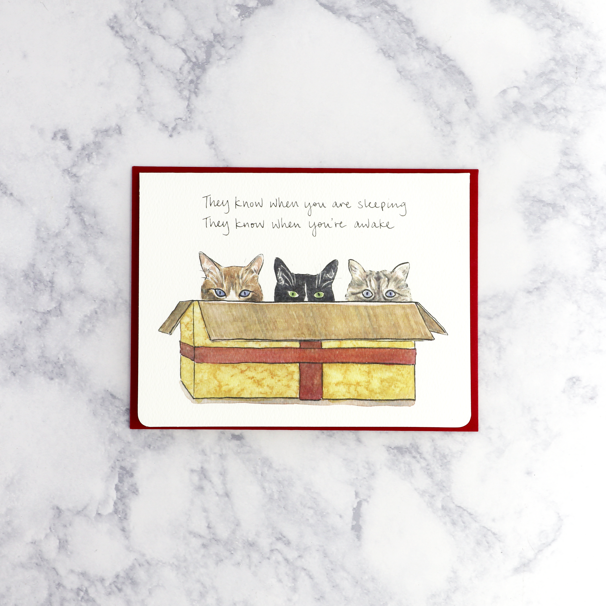 Cats "When You're Sleeping..." Holiday Card