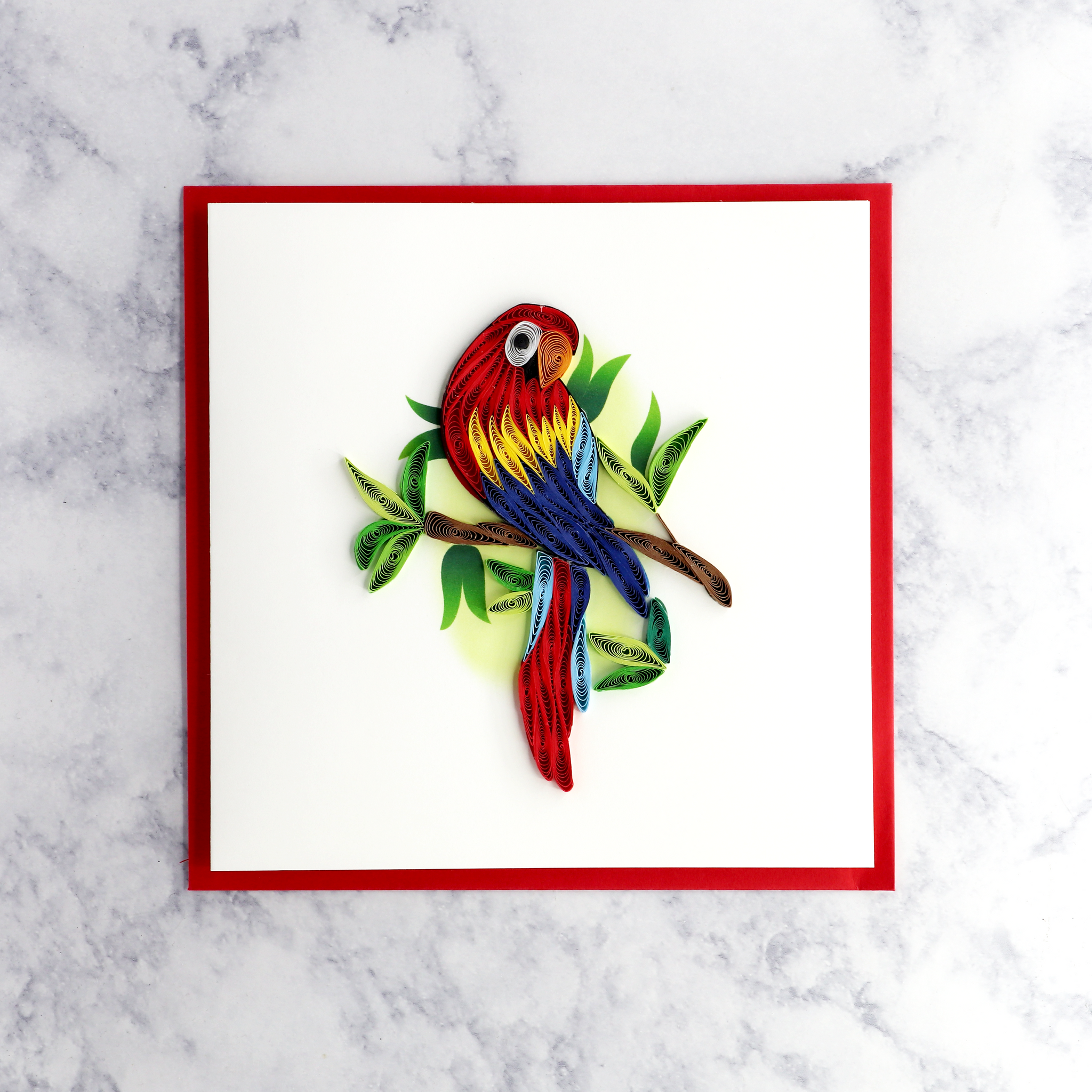 Parrot Quilling Blank Card