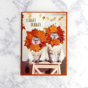 Cute Cats Thanksgiving Card