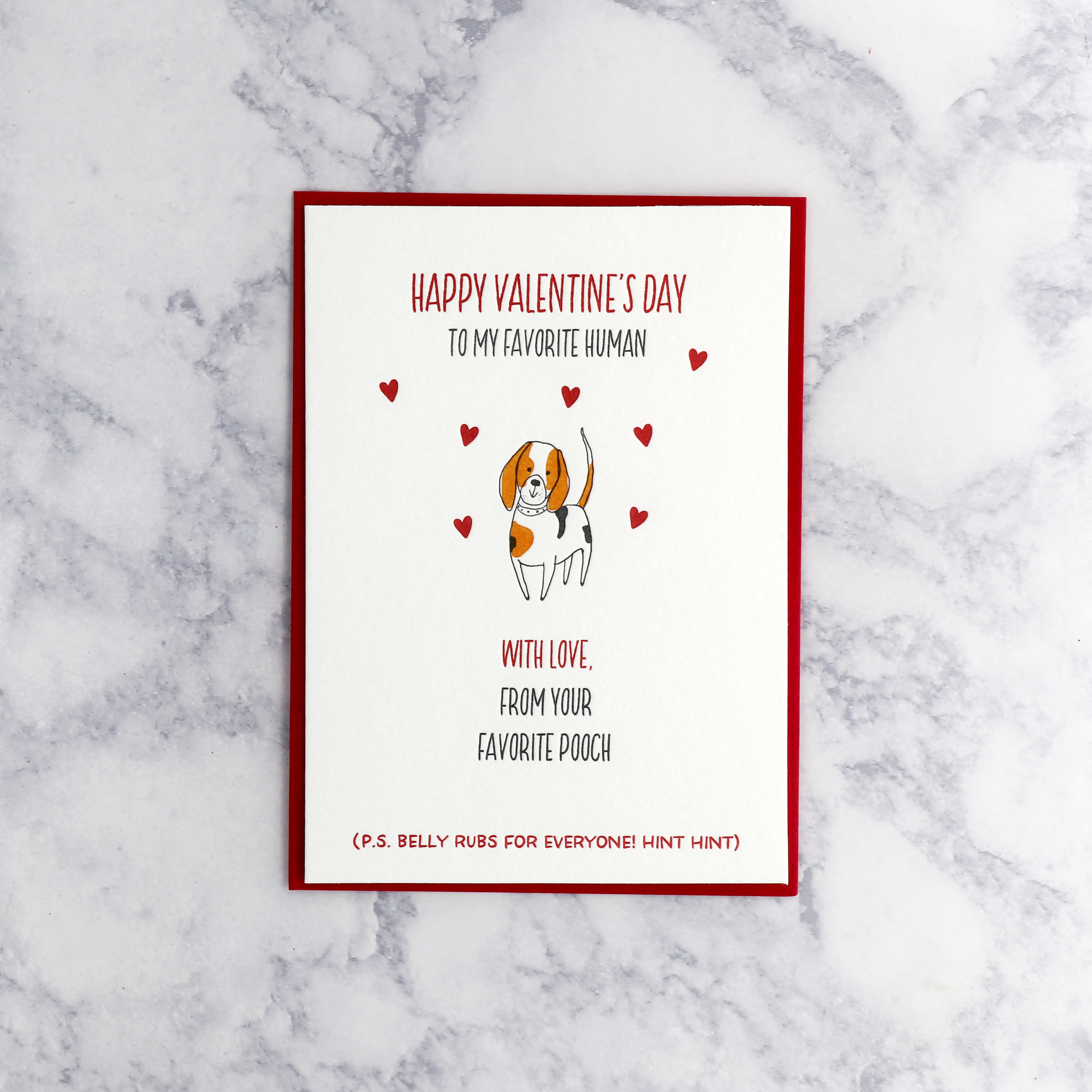 Letterpress "From Your Favorite Pooch" Valentine’s Day Card