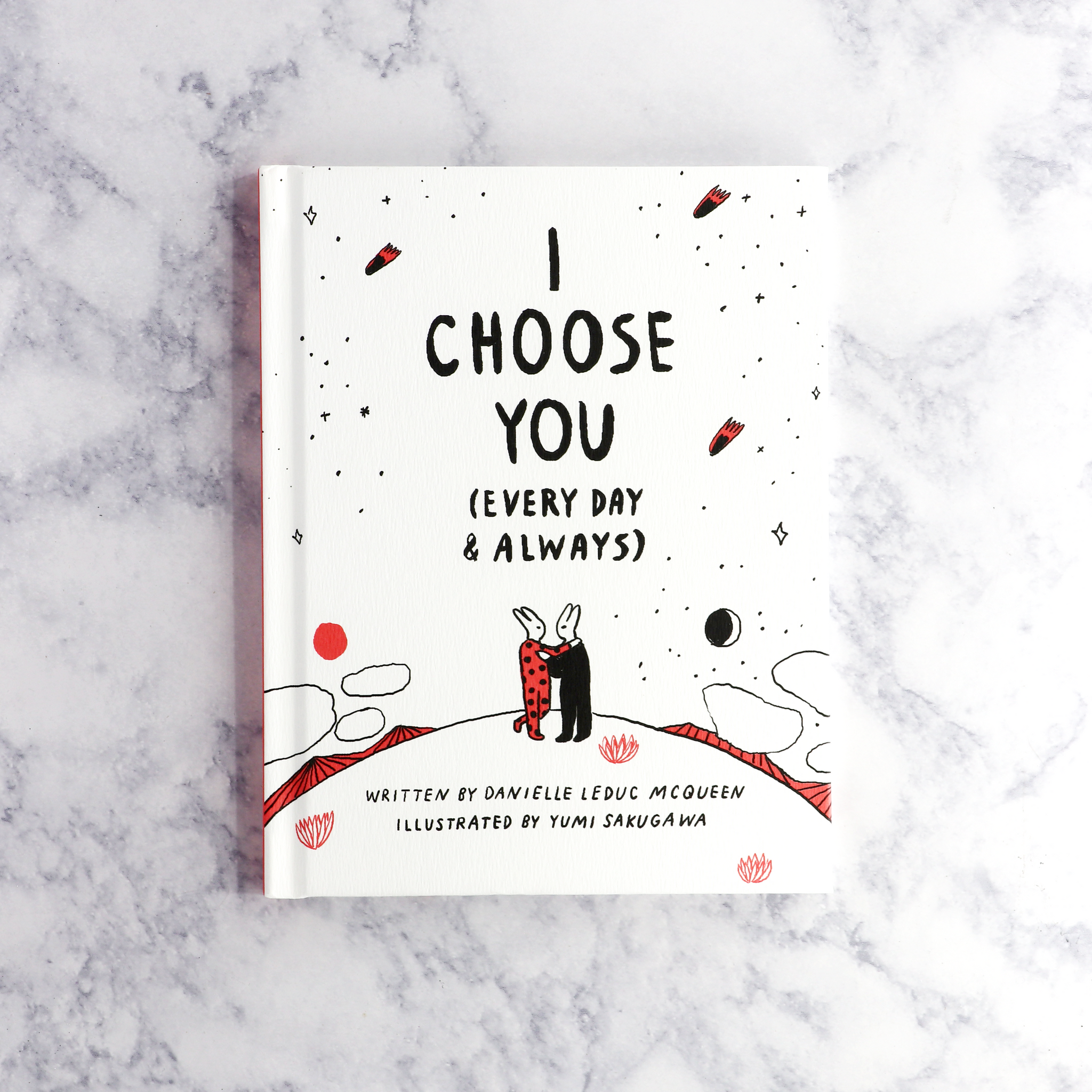 I Choose You (Every Day & Always) Book