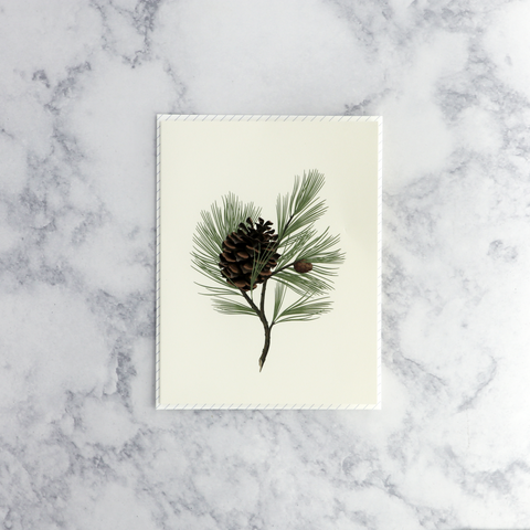 Pine Scented Blank Card