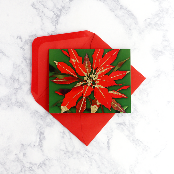 Red Poinsettia Holiday Boxed Cards (Set of 20)