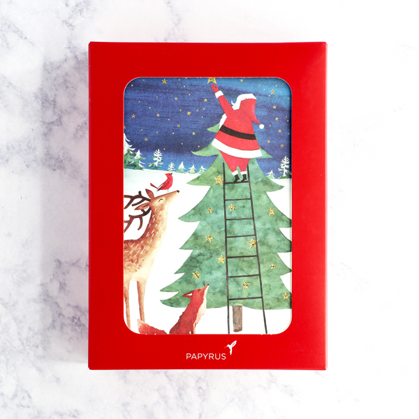 Santa Reaching For Star Christmas Boxed Cards (Set of 14)