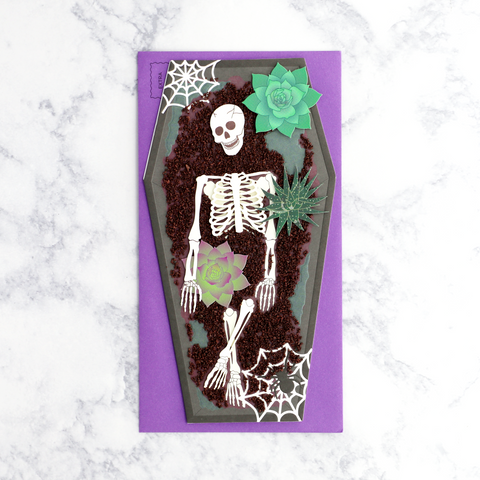 Skeleton In Coffin Halloween Card