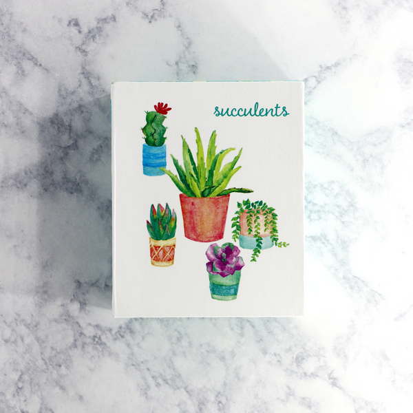 Succulent Thank You Boxed Notes (Set of 20)