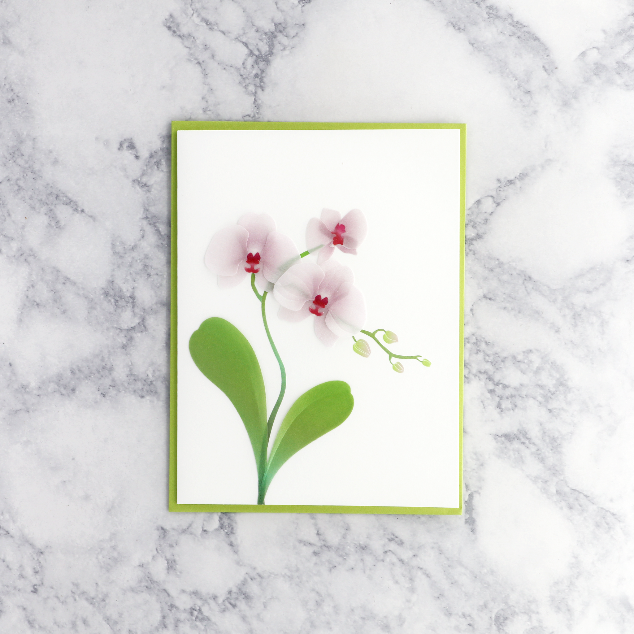 Vellum Pink Orchid Blank Card