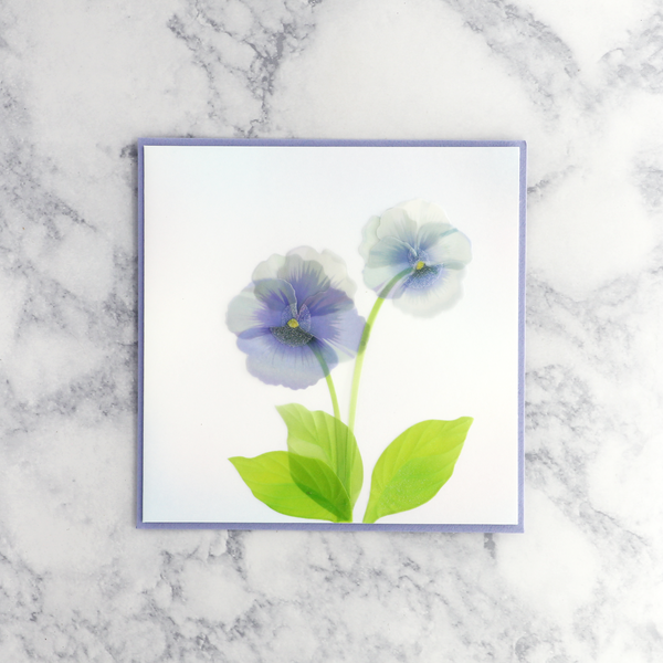 Vellum Purple Pansies Birthday Card