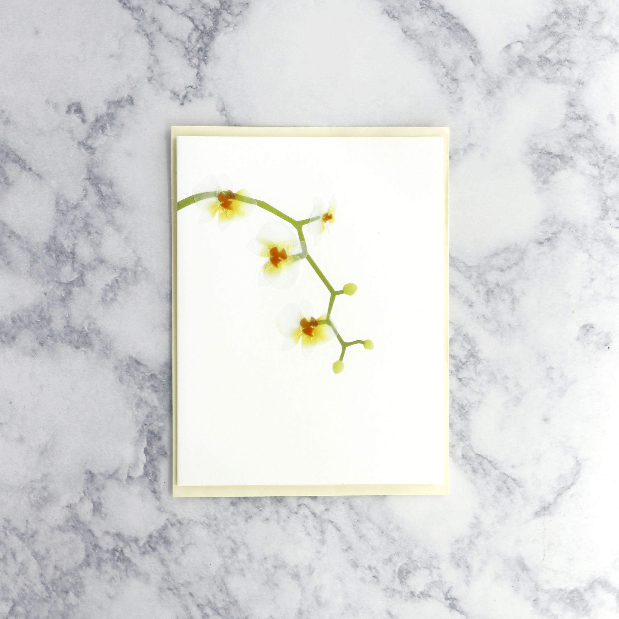 Vellum White Orchids Blank Card